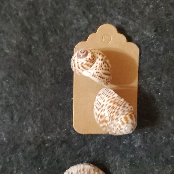 Assorted Shell Earrings - Picture 7 of 16